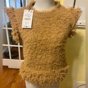 ZARA Fuzzy Tan Short Sleeve Top
